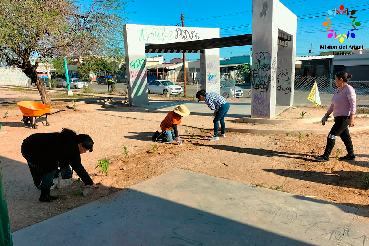 Imagen 2